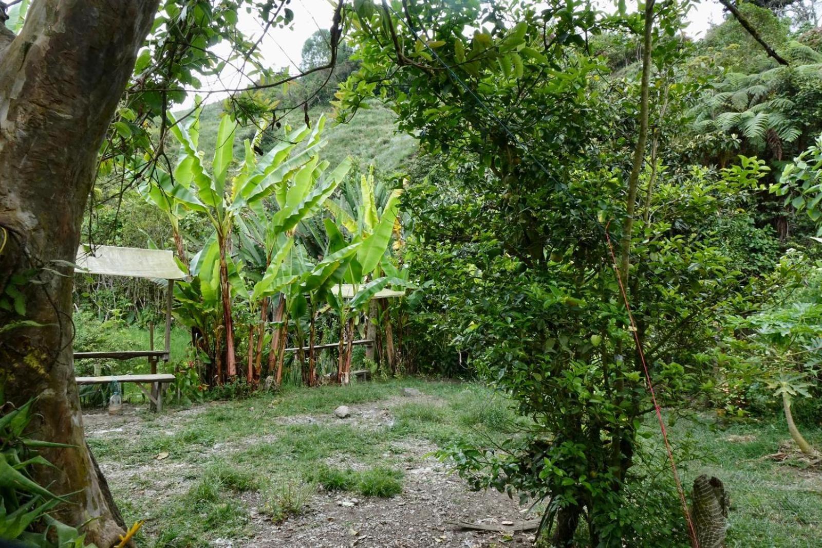 Hostal Casa Victoria Pijao Exterior foto